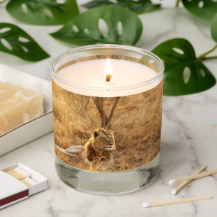 Lion Scented Candle