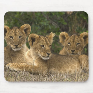 Lion Siblings Mouse Pad