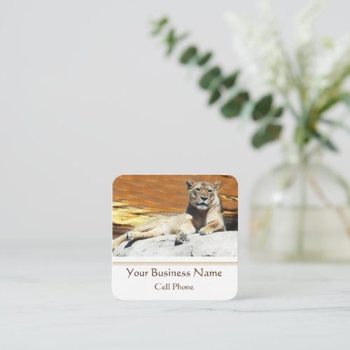 Lion Sitting on Rock King of the Hill Square Business Card