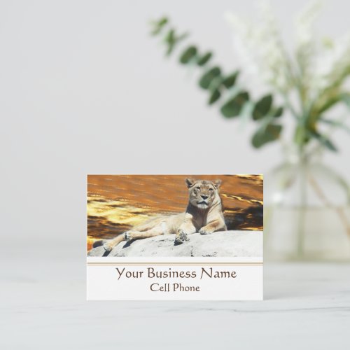 Lion Sitting on Rock Stunning Sunset Business Card