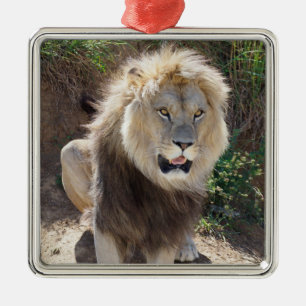 Lion sitting on the rocks metal ornament