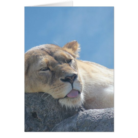 Lion Sleeping Card