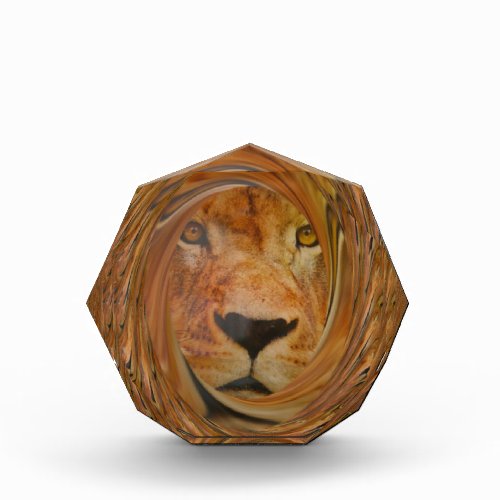 Lion smile acrylic award