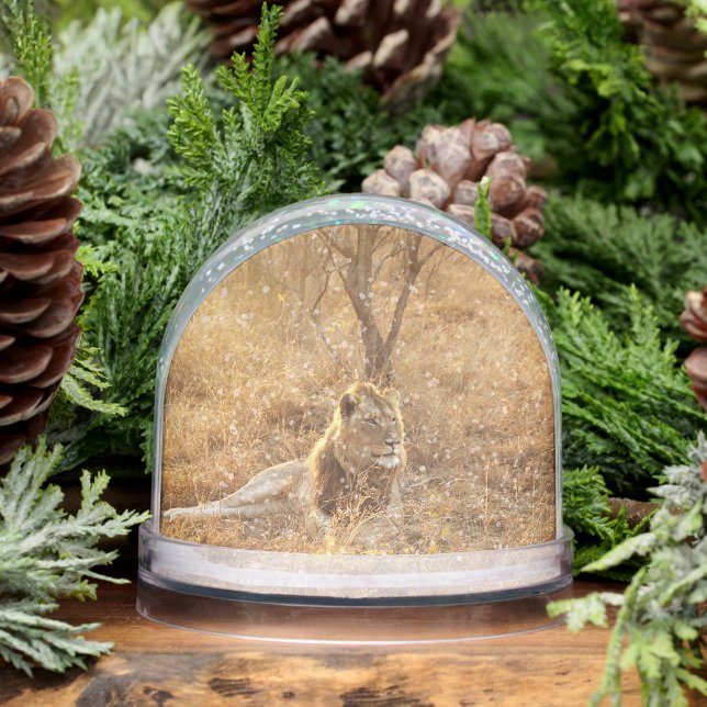 Lion Snow Globe (Winter)