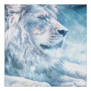 Lion snow lying down art animal faux canvas print