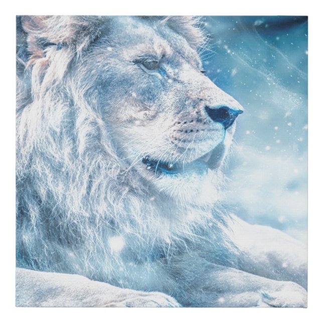 Lion snow lying down art animal faux canvas print (Front)