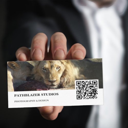 Lion Stare  Wildlife Photography  Business Card