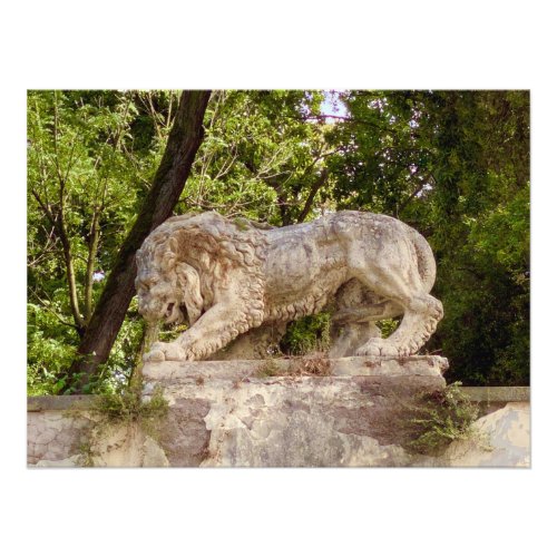Lion Statue in Rome Italy Photo Print