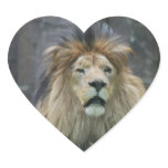 Lion  Sticker