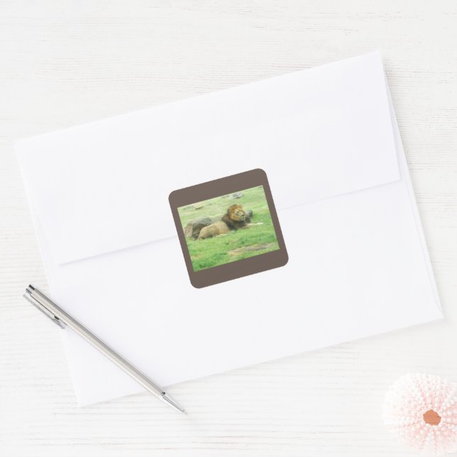 Lion Sticker (Envelope)