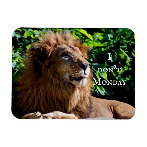 Lion Sticking tongue out_ i dont monday Magnet