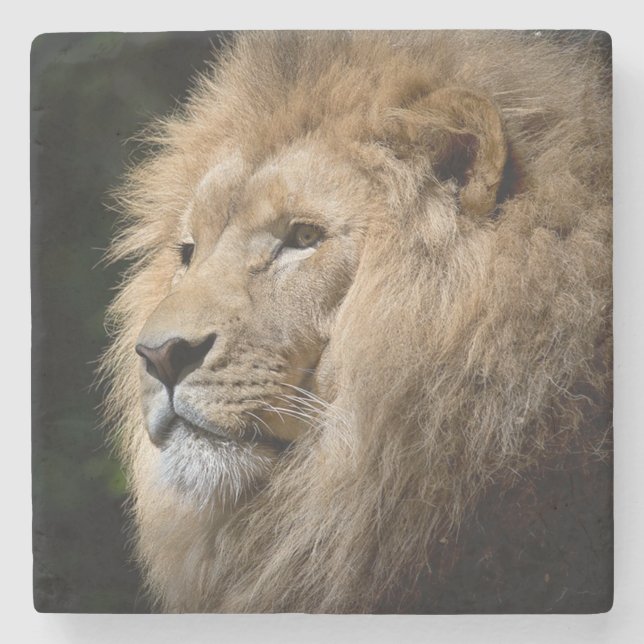 Lion Stone Coaster (Front)