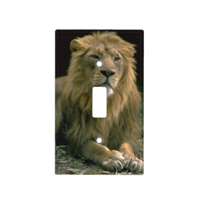 Lion Switch Plate Cover (Front)