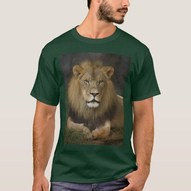 Lion T-Shirt (Front)