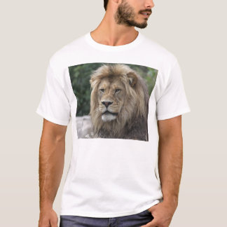 Lion T-Shirt