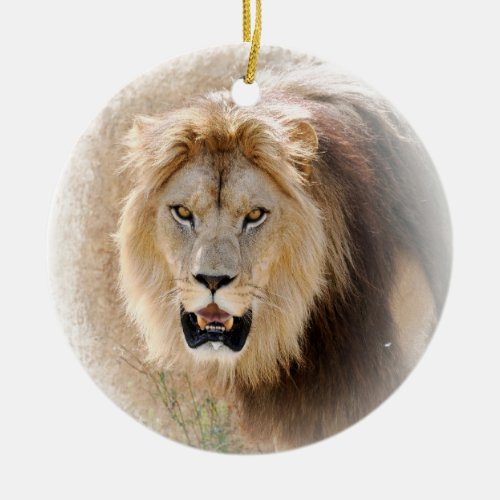 Lion T_Shirt Ceramic Ornament