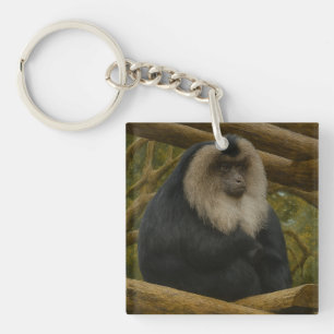 Lion-Tailed Macaque in Forest Sanctuary Keychain