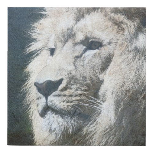 Lion Template Nature Animal Photo The King Faux Canvas Print