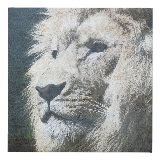 Lion Template Nature Animal Photo The King Faux Canvas Print (Front)