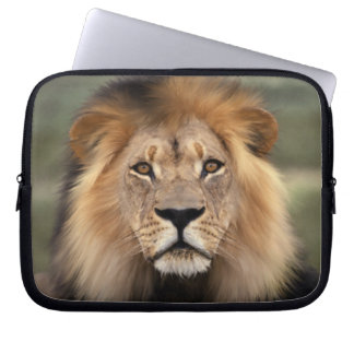 Lion - The King of The Jungle Laptop Sleeve