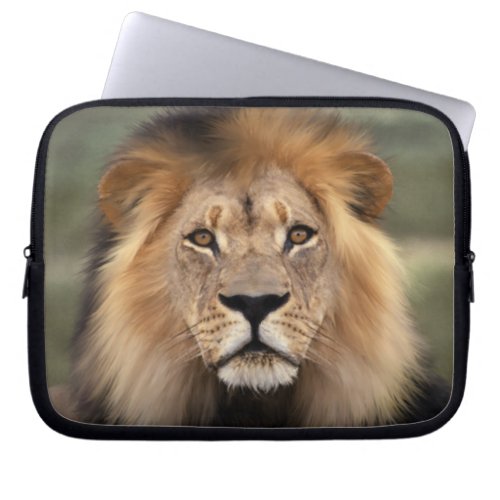 Lion _ The King of The Jungle Laptop Sleeve