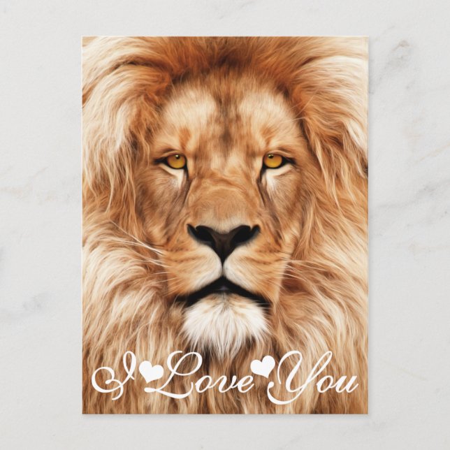 Lion The King Photo Painting I Love You Postcard (Front)