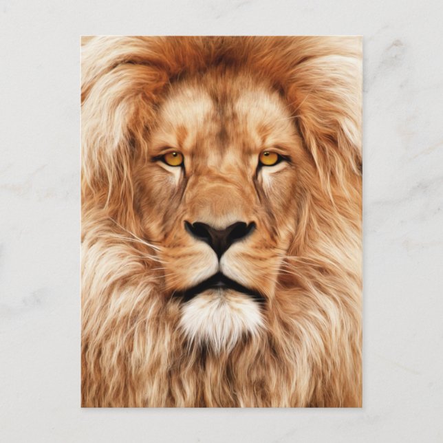Lion The King Photo Painting Postcard (Front)
