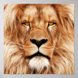 Lion The King Photo Painting Poster