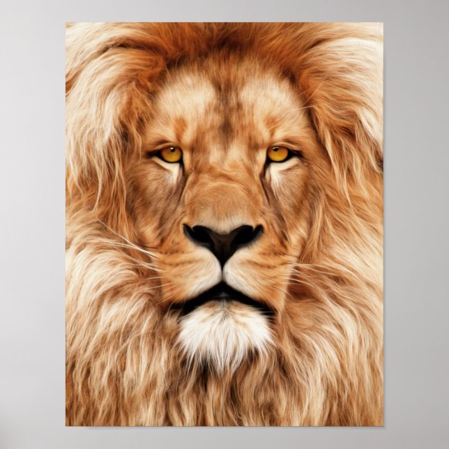 Lion The King Photo Painting Poster (Front)
