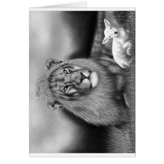 Lion & the Lamb Cards (Front)