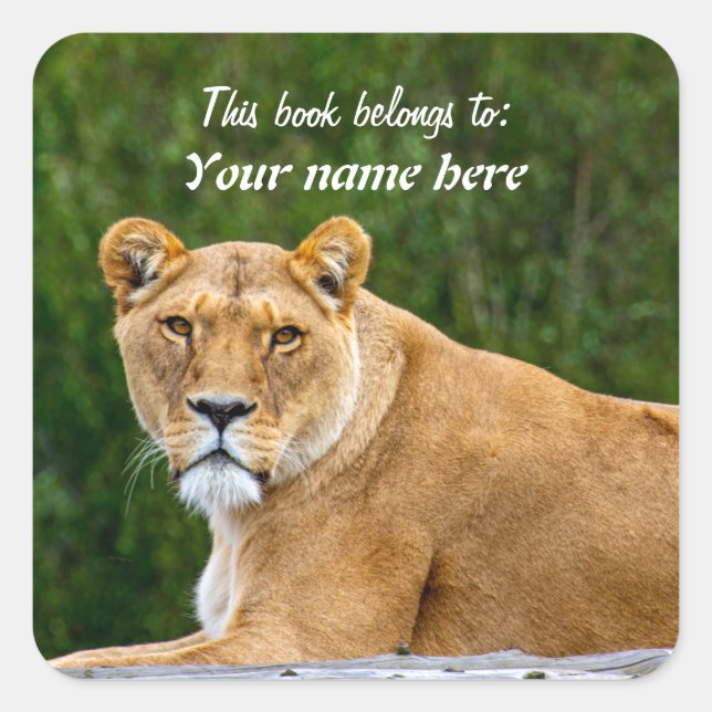 Lion "This book belongs to" Sticker (Front)