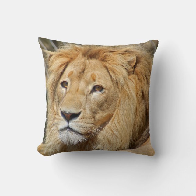 Lion Throw Pillow (Front)