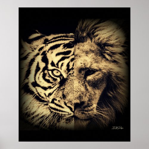 Lion Tiger 2in1 Poster