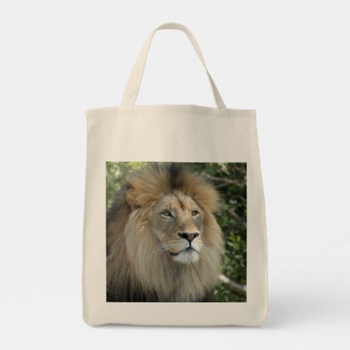 Lion Tote Bag