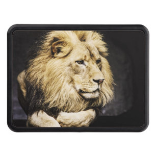 Lion tow hitch cover