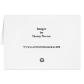 Lion Twins (Back Horizontal)