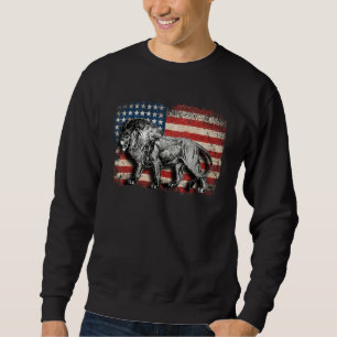 Lion Usa American Flag 4th Of July Patriotic  1 Sweatshirt