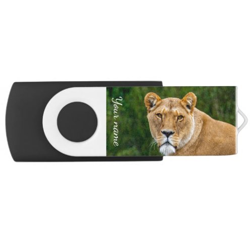 Lion USB flash drive