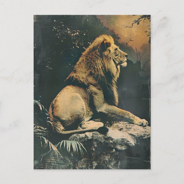Lion vintage postcard (Front)