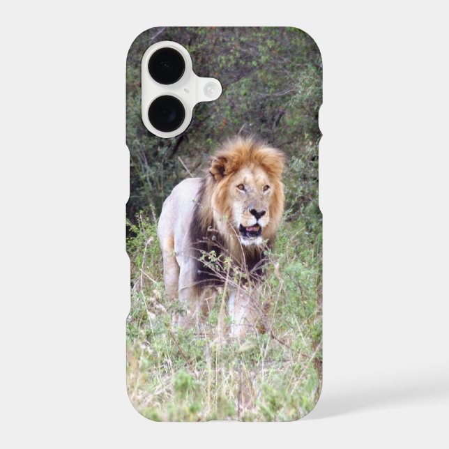 lion walk iphone case (Back)