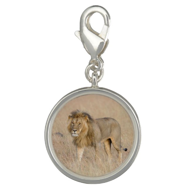 Lion walking charm (Front)