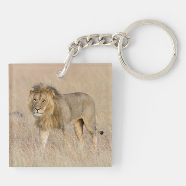 Lion walking keychain (Back)