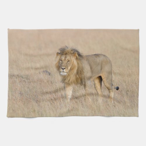 Lion walking kitchen towel