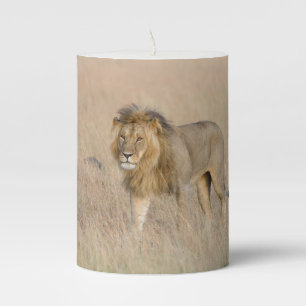 Lion walking pillar candle