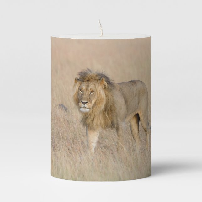 Lion walking pillar candle (Front)
