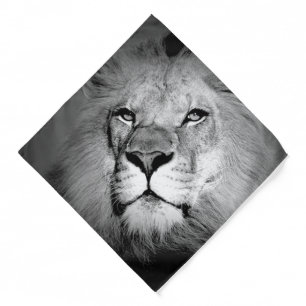 Lion - Wild Animal Photography Bandana
