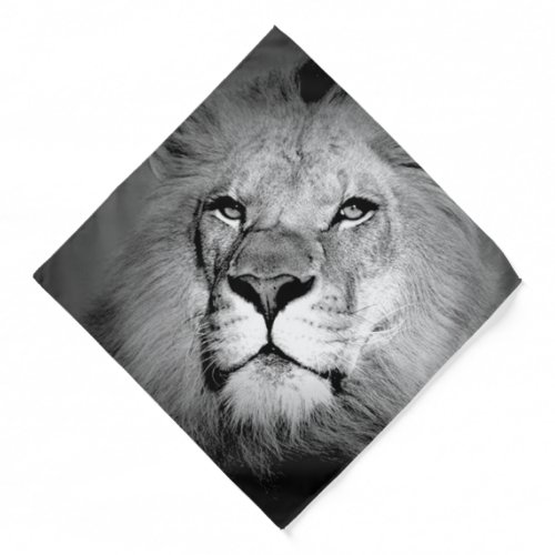 Lion _ Wild Animal Photography Bandana