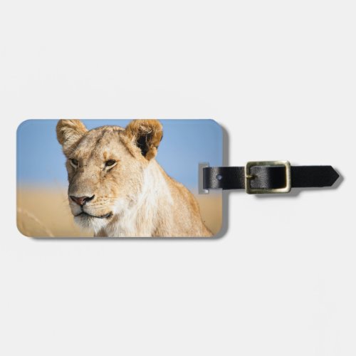 Lion wildlife photography Africa Safari animal Luggage Tag