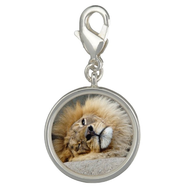 Lion Wink Charm Bracelet (Front)