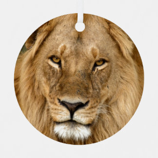 Lion With Great Mane Ceramic Ornament